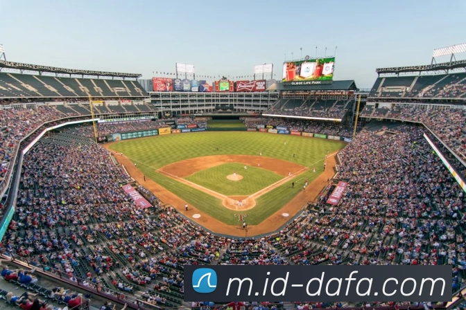 大发彩票服务体系